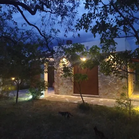 Elea Stone In Organic Quiet Olive Grove, Prinos, Thassos