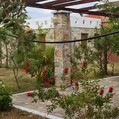 Elea Stone In Organic Quiet Olive Grove, Prinos, Thassos וילה *