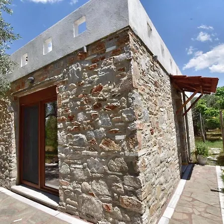 Elea Stone In Organic Quiet Olive Grove, Prinos, Thassos Prinos (Thasos)