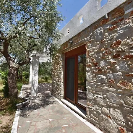 Elea Stone In Organic Quiet Olive Grove, Prinos, Thassos Prinos (Thasos)
