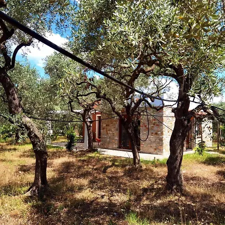 Elea Stone In Organic Quiet Olive Grove, Prinos, Thassos * Prínos