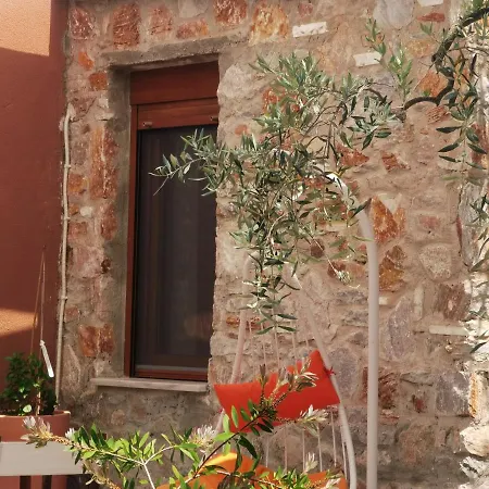 Elea Stone In Organic Quiet Olive Grove, Prinos, Thassos Prinos (Thasos)