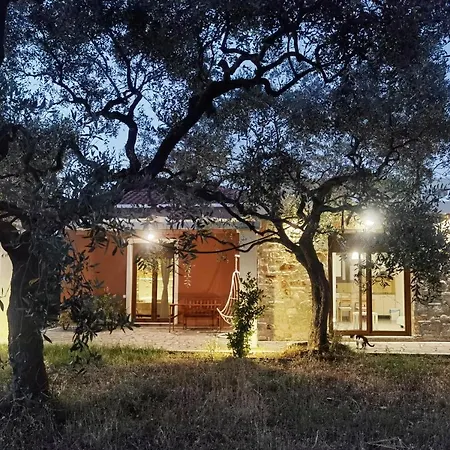 Elea Stone In Organic Quiet Olive Grove, Prinos, Thassos *
