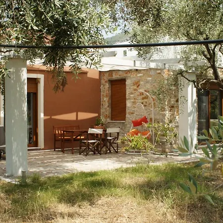 Elea Stone In Organic Quiet Olive Grove, Prinos, Thassos