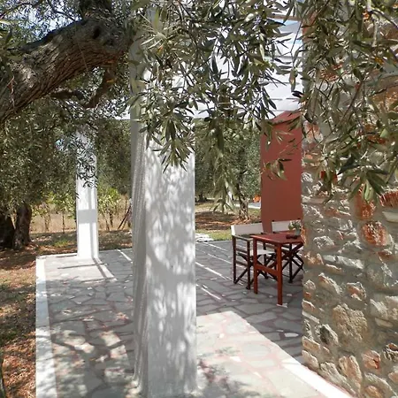 Elea Stone In Organic Quiet Olive Grove, Prinos, Thassos Villa *