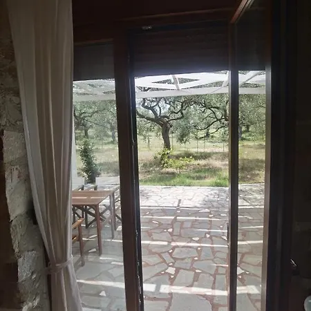 Elea Stone In Organic Quiet Olive Grove, Prinos, Thassos Вилла Принос