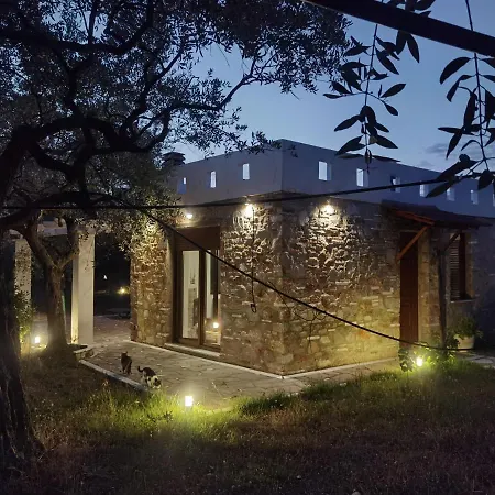 Elea Stone In Organic Quiet Olive Grove, Prinos, Thassos וילה Prínos