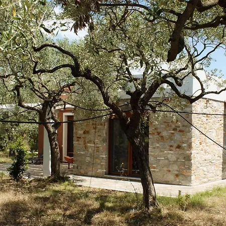 Elea Stone In Organic Quiet Olive Grove, Prinos, Thassos Вилла Принос