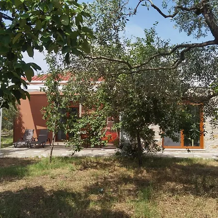 Elea Stone In Organic Quiet Olive Grove, Prinos, Thassos Villa *