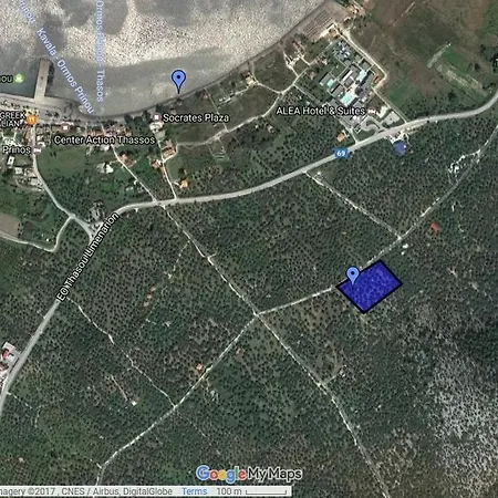 Elea Stone In Organic Quiet Olive Grove, Prinos, Thassos Prinos (Thasos)