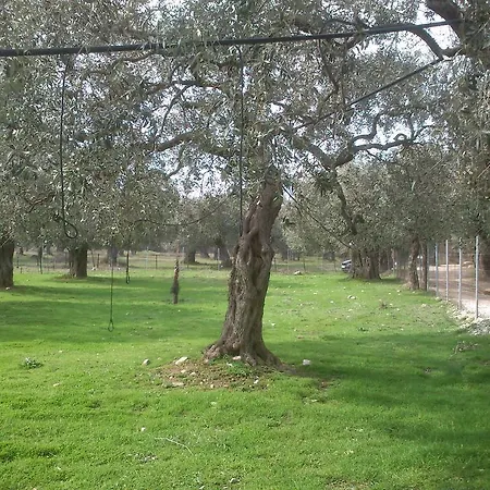 Elea Stone In Organic Quiet Olive Grove, Prinos, Thassos וילה *