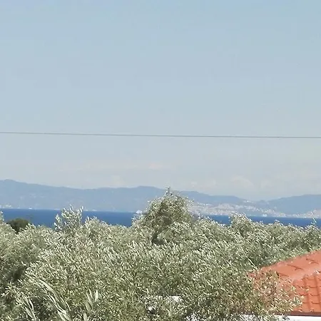Elea Stone In Organic Quiet Olive Grove, Prinos, Thassos *