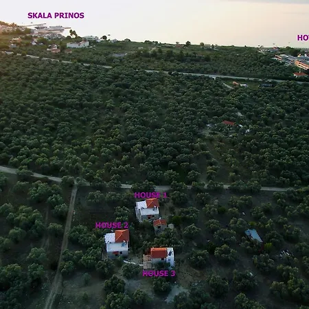 Elea Stone In Organic Quiet Olive Grove, Prinos, Thassos Villa *
