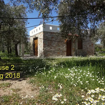 Villa Elea Stone In Organic Quiet Olive Grove, Prinos, Thassos