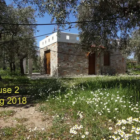 וילה Elea Stone In Organic Quiet Olive Grove, Prinos, Thassos