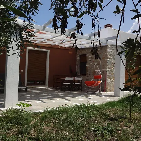 Elea Stone In Organic Quiet Olive Grove, Prinos, Thassos