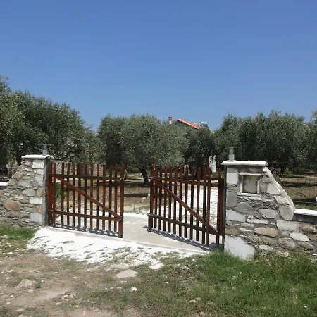 Elea Stone In Organic Quiet Olive Grove, Prinos, Thassos * Prinos (Thasos)