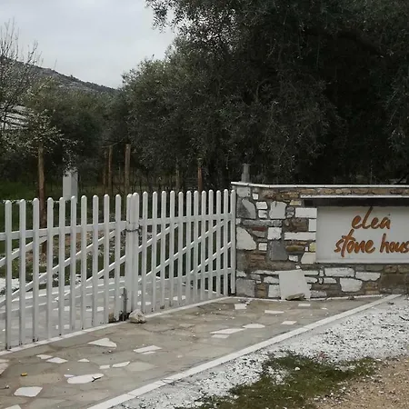 Elea Stone In Organic Quiet Olive Grove, Prinos, Thassos